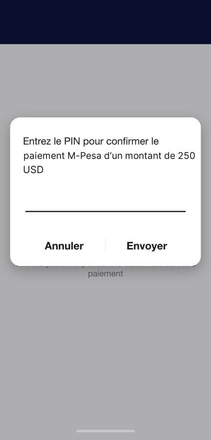 Une demande de paiement sur le téléphone du client, qui confirme le montant avec son PIN